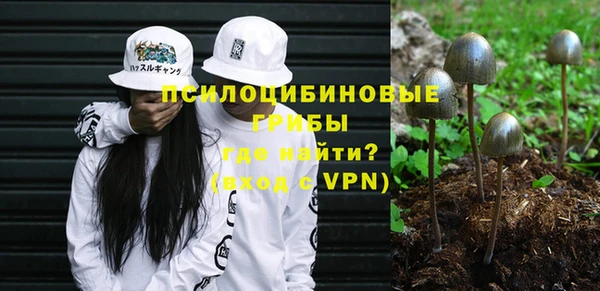 каннабис Арсеньев