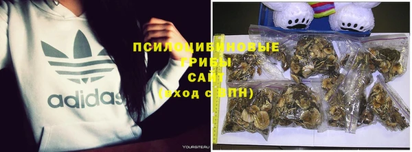 прущие крисы Армянск