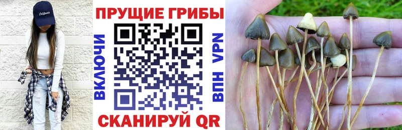 Галлюциногенные грибы мицелий  Белоярский 